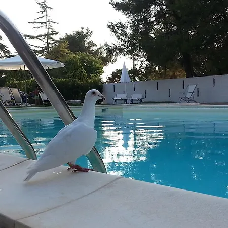 La Ferula Bed&pool *