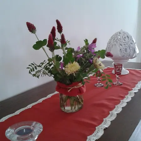 La Ferula Bed&pool Farm stay *