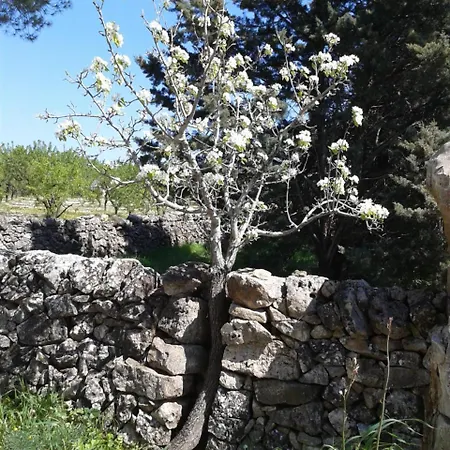 La Ferula Bed&pool Santeramo in Colle